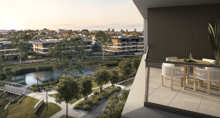 The Shell Cove Collection - Shell Cove 11